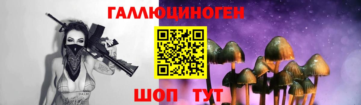 Михайловск  Галлюциногенные грибы Psilocybine cubensis  хочу наркоту  Вход с VPN 